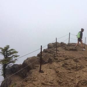 Meet your Posher, Brenda